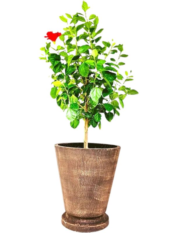 Edden Pot Large Mecca Brown Finish - H480mm x W420mm - 15kg