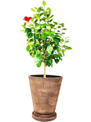Edden Pot Large Mecca Brown Finish - H480mm x W420mm - 15kg