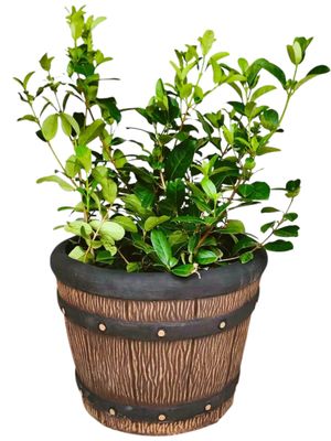 Round Sleeper Pot Large Mecca Brown Finish - H503mm x W650mm - 47kg
