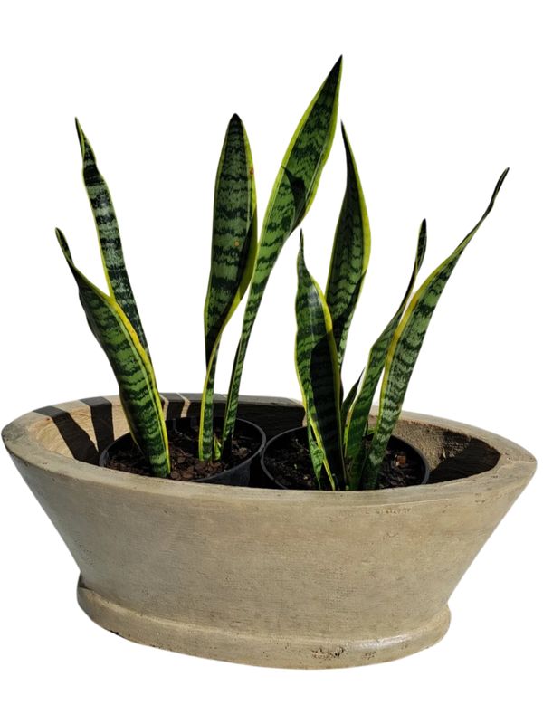 Oval Flower Box Cement Seal Finish - H220mm x W300mm x L585mm