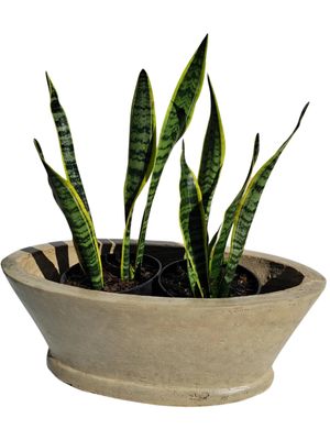 Oval Flower Box Cement Seal Finish - H220mm x W300mm x L585mm