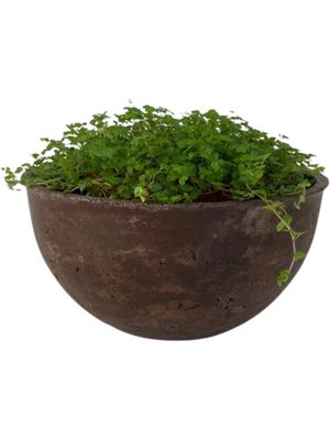 Peace Bowl 1 Small Brown Clay Finish - H110mm x W220mm - 2kg