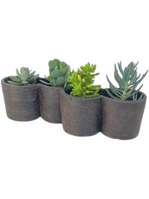 Four-X Multiplanter Mecca Brown Finish - H120mm x L420mm