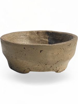Acacia Bonsai Round Planter Rustic Antique Amber Finish - H85mm x W220mm - 2.5kg