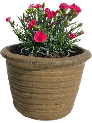 Louvre Pot Small Rustic Antique Amber Finish - H220mm x W310mm- Mouth 230mm - 6kg