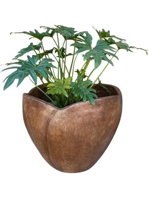 Rose Planter Large Brown Clay Finish - H360mm x  W450mm - 13kg