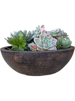 Crassula &amp; Cactus Pot Large Mecca Brown Finish - H104mm x W440mm -  8 kg