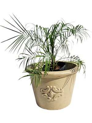 Adria Pot Medium Cement Seal Finish - H340mm x W480mm - 13kg