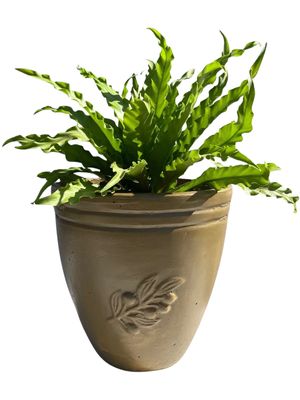 Olive Pot Small Antique Amber Finish - H320mm - 7kg