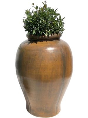 Blaze Urn Antique Amber Finish - H680mm x W460mm - 25kg
