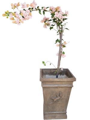 Gecko Square Pot Antique Amber Finish - H570mm x W410mm - 23kg