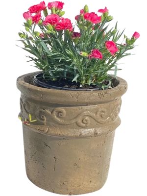 Fragrant Small Rustic Antique Amber Finish - H250mm - 6kg