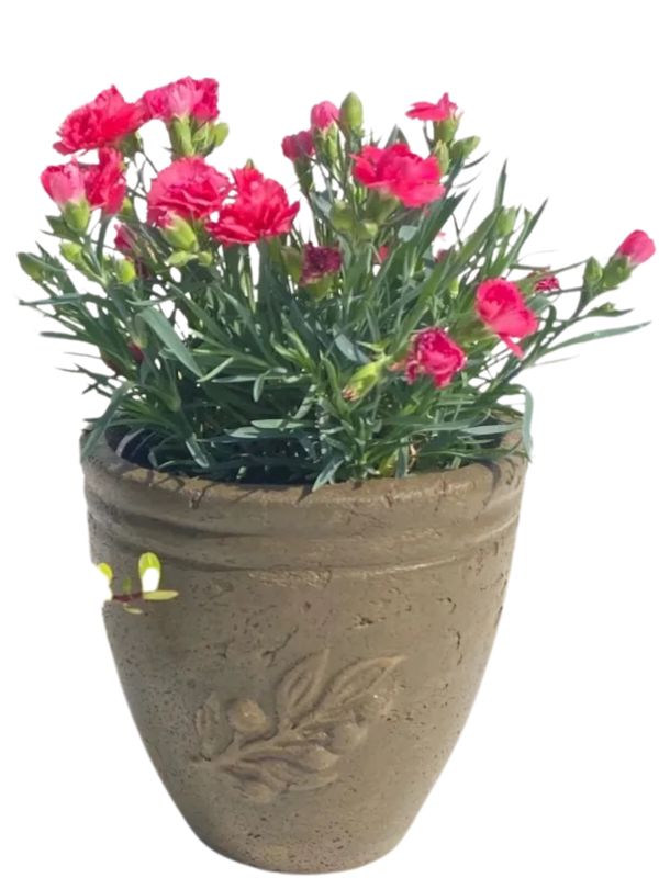 Olive Pot Mini Rustic Antique Amber Finish - H210mm - 4kg