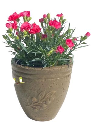 Olive Pot Mini Rustic Antique Amber Finish - H210mm - 4kg