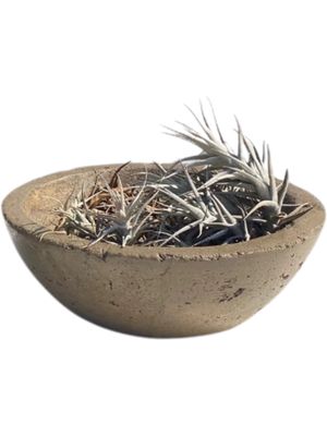 Crassula &amp; Cactus Pot Small Rustic Antique Amber Finish - H90mm x W240mm - 2kg
