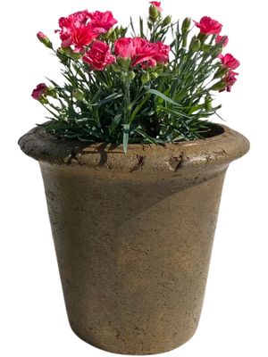 One Ring Pot Small Rustic Antique Amber Finish - H250 x W270mm - 6kg