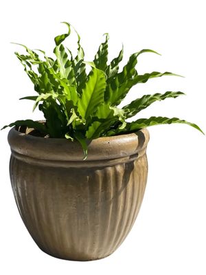 Round Wave Pot Medium Antique Amber Finish - H280mm x W320mm - 7kg