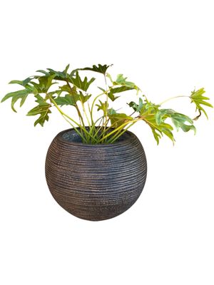 Hope Round Pot with Small Stripes Mecca Brown Finish - H320mm x W380mm - 11kg