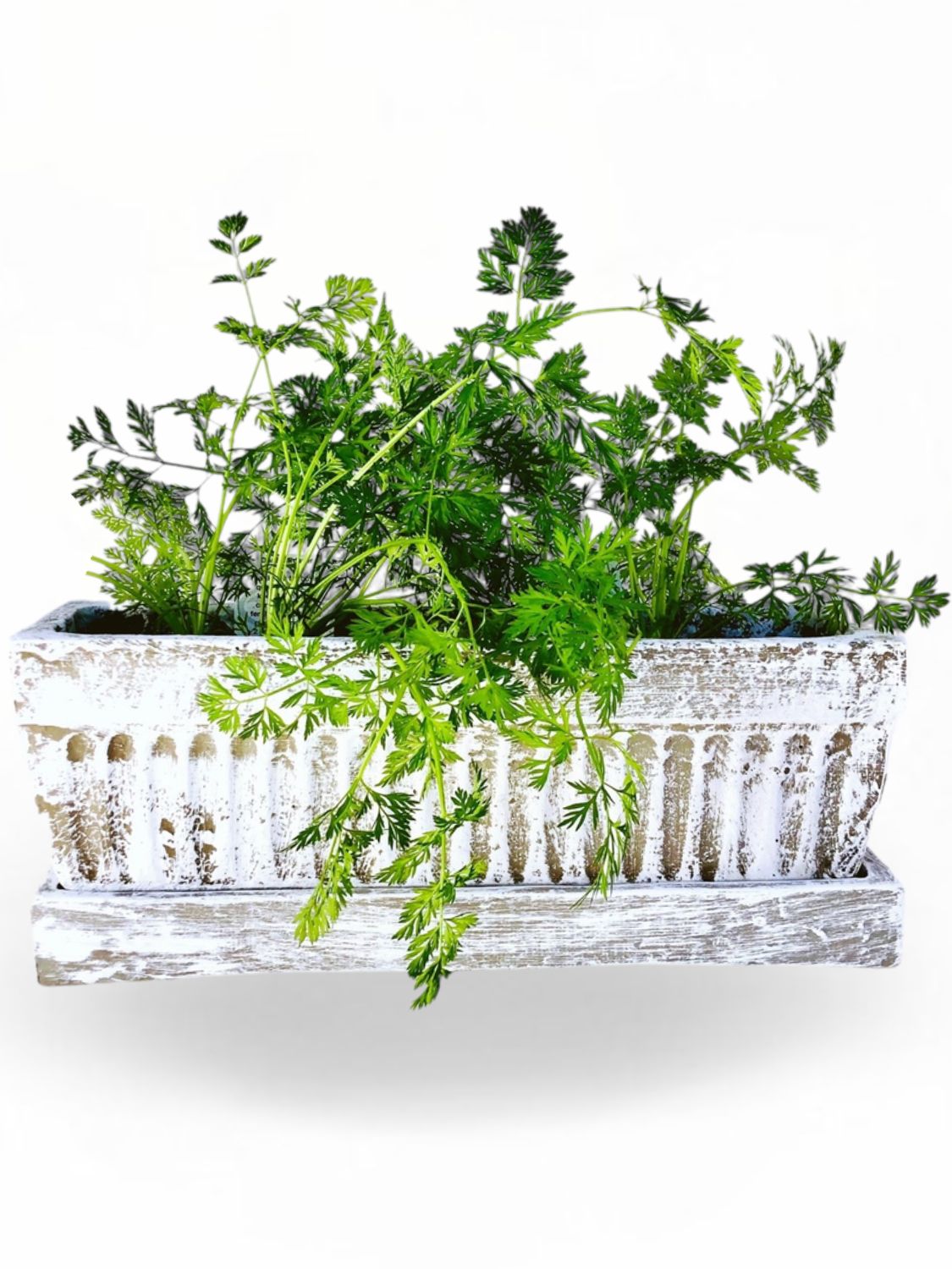 Window Pot Medium Whitewash With Drip Tray - L450mm x W150mm - 9kg