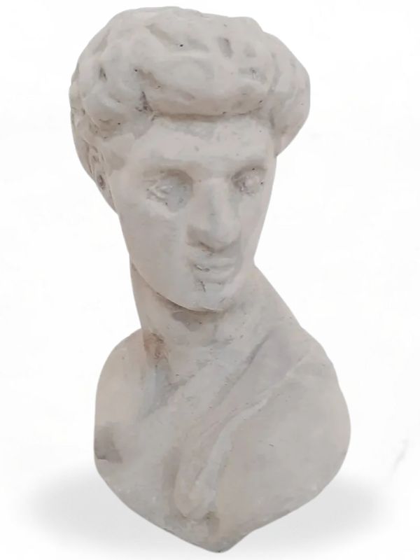 David Bust Small Cement Finish - H220mm x W180mm