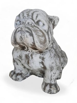 Bulldog Small Whitewash Finish - H300mm - 7kg