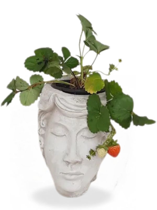 Eve Head Vase Cement Finish - H230mm x W150mm - 3kg