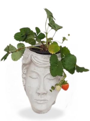 Eve Head Vase Cement Finish - H230mm x W150mm - 3kg