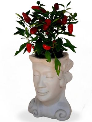 Fran Head Planter Cement Colour Finish - H260mm x W200mm - 6kg