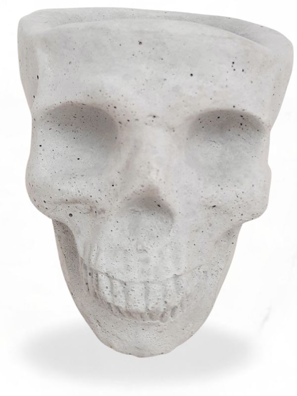 Plain Skull Planter Large Cement Finish - H135mm x W135mm
