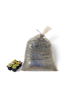 Bonsai Organic Potting Mix 30 Liters