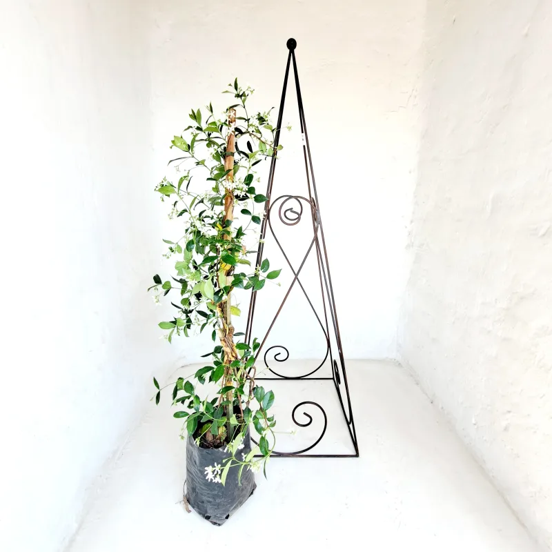 Obelisk Libby (Brown) - H1500mm