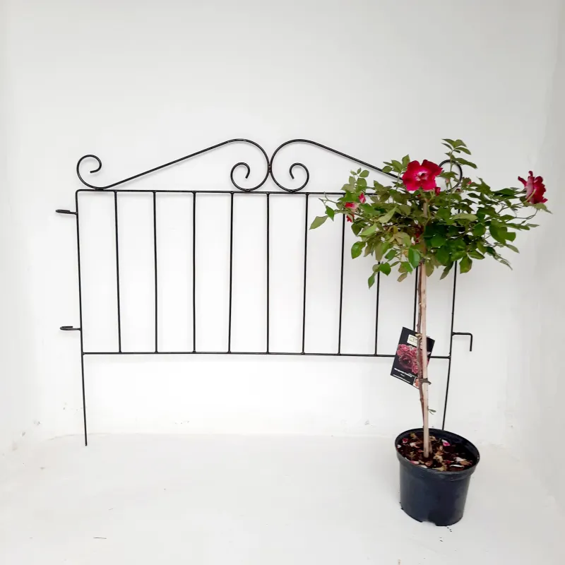 Fence Curl Top 100x56cm