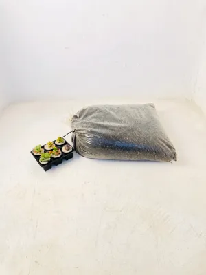 Succulent and Cactus Organic Soil Mix 30 Liters