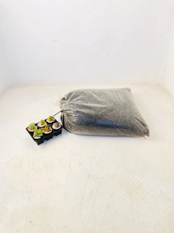 Succulent and Cactus Organic Soil Mix 30 Liters