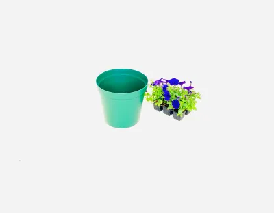 25cm Pot Green Width 25cm x Height 21.5cm