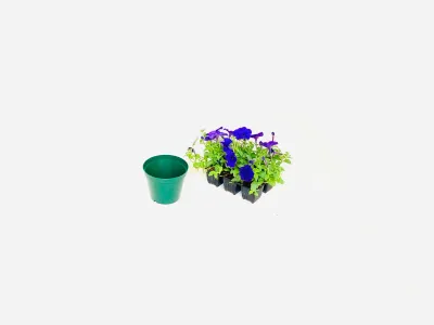 12,5cm Pot Green Width 12.5cm x Height 10cm