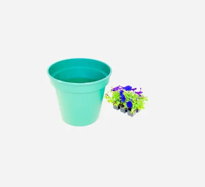 35cm Pot Green Width 35cm x Height 34cm