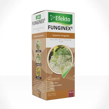 Funginex 100ml