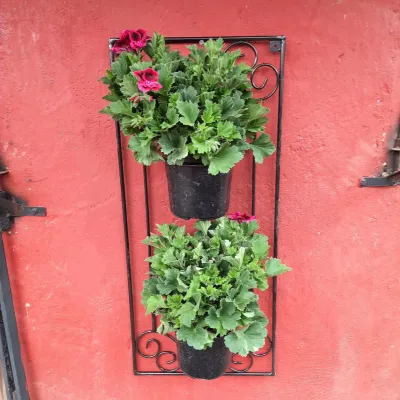 Black Steel Wall Double Potholder - 40x20.5x90cm - 15cm Pot