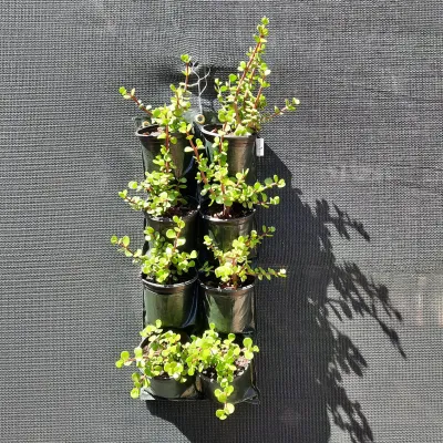 8 Pocket Hang Up Bag