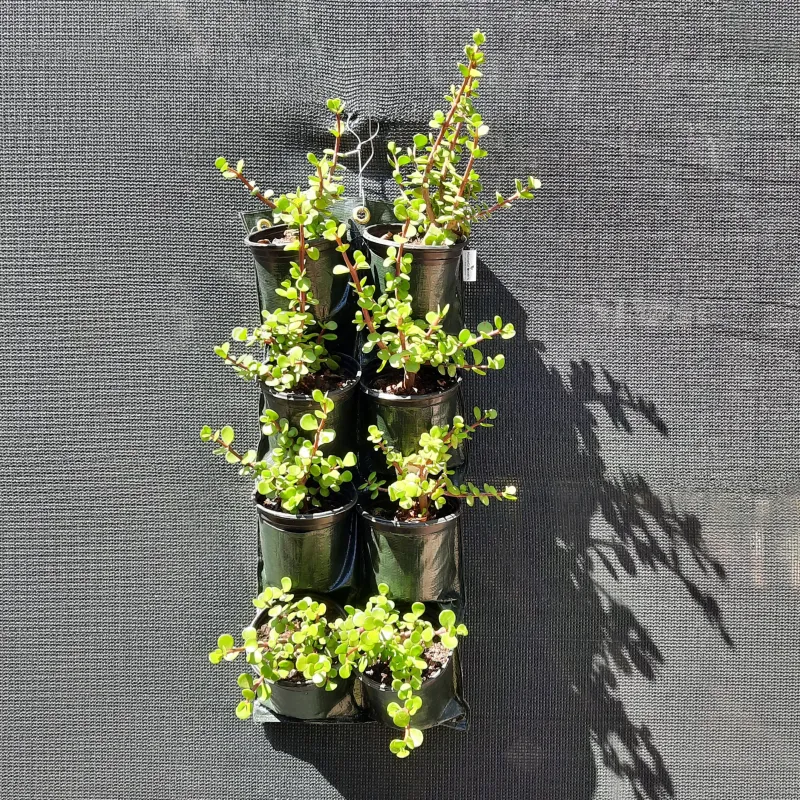 8 Pocket Hang Up Bag