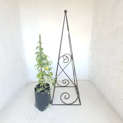 Obelisk Libby (Brown) - H1200mm