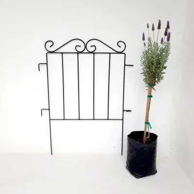 Fence Curl Top 50x53cm