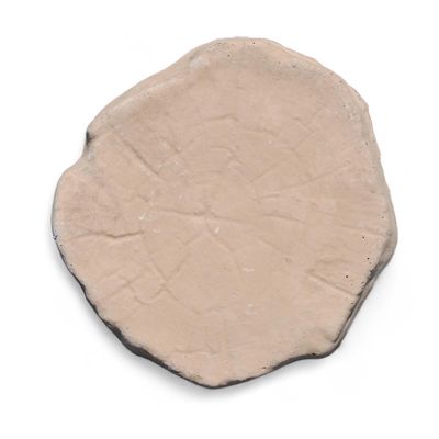 Round Log LARGE Golden Tan - 500mm - 22.9kg