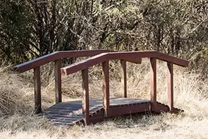 Wooden Koi Pond Bridge L2500mm x W900mm