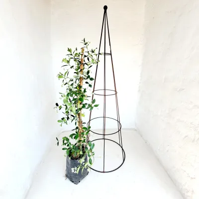 Roundbar Obelisk (Brown) - H1600mm x W550mm