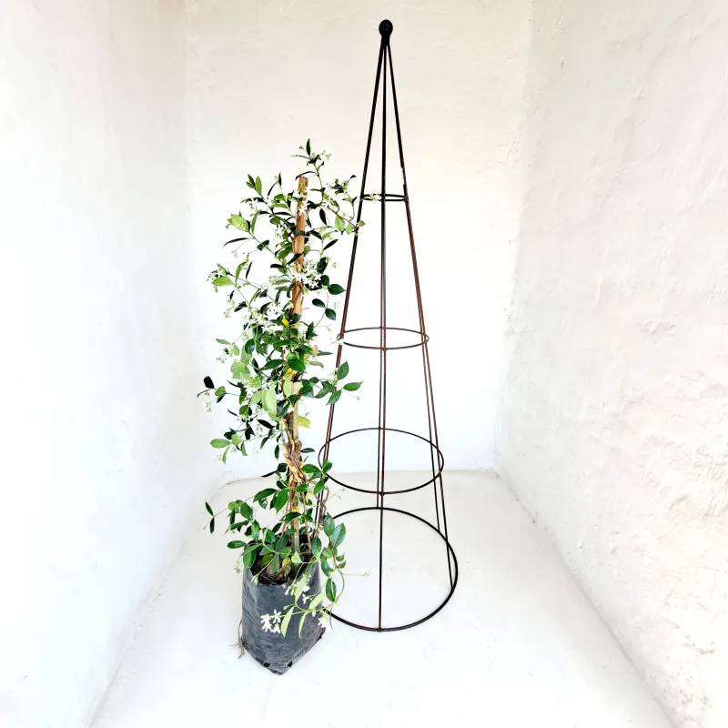 Roundbar Obelisk (Brown) - H1600mm x W550mm