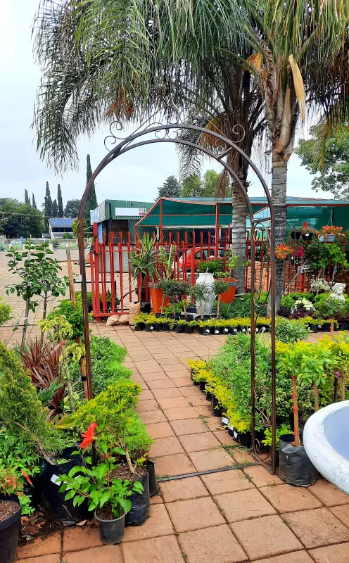 Wrought Iron Arch Amalia - H2,4m x W1,2m