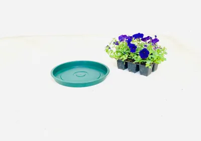 30cm Saucer green Width 30cm