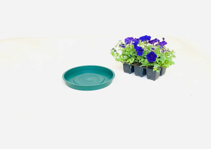 25cm Saucer green Width 25cm
